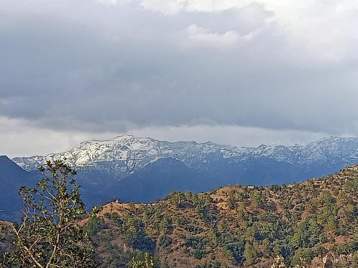 Shiva Valley Resort Kokhliyal Gaon Eksteriør billede