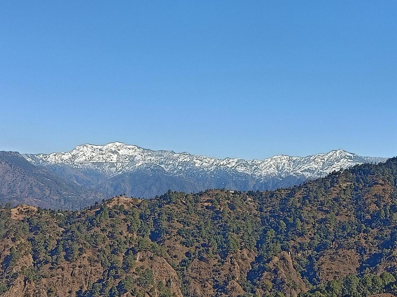 Shiva Valley Resort Kokhliyal Gaon Eksteriør billede